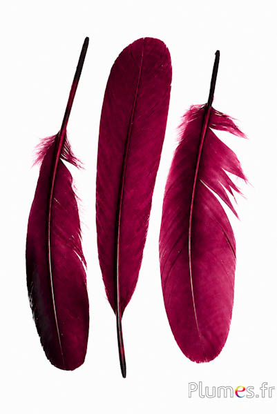 Schwan Seide - 25-30 cm - bordeaux